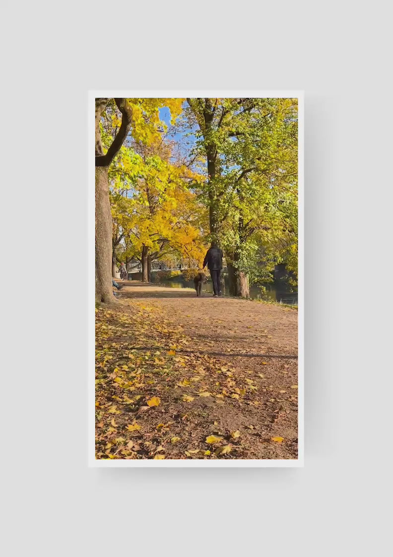 Karte "Dog days are over"